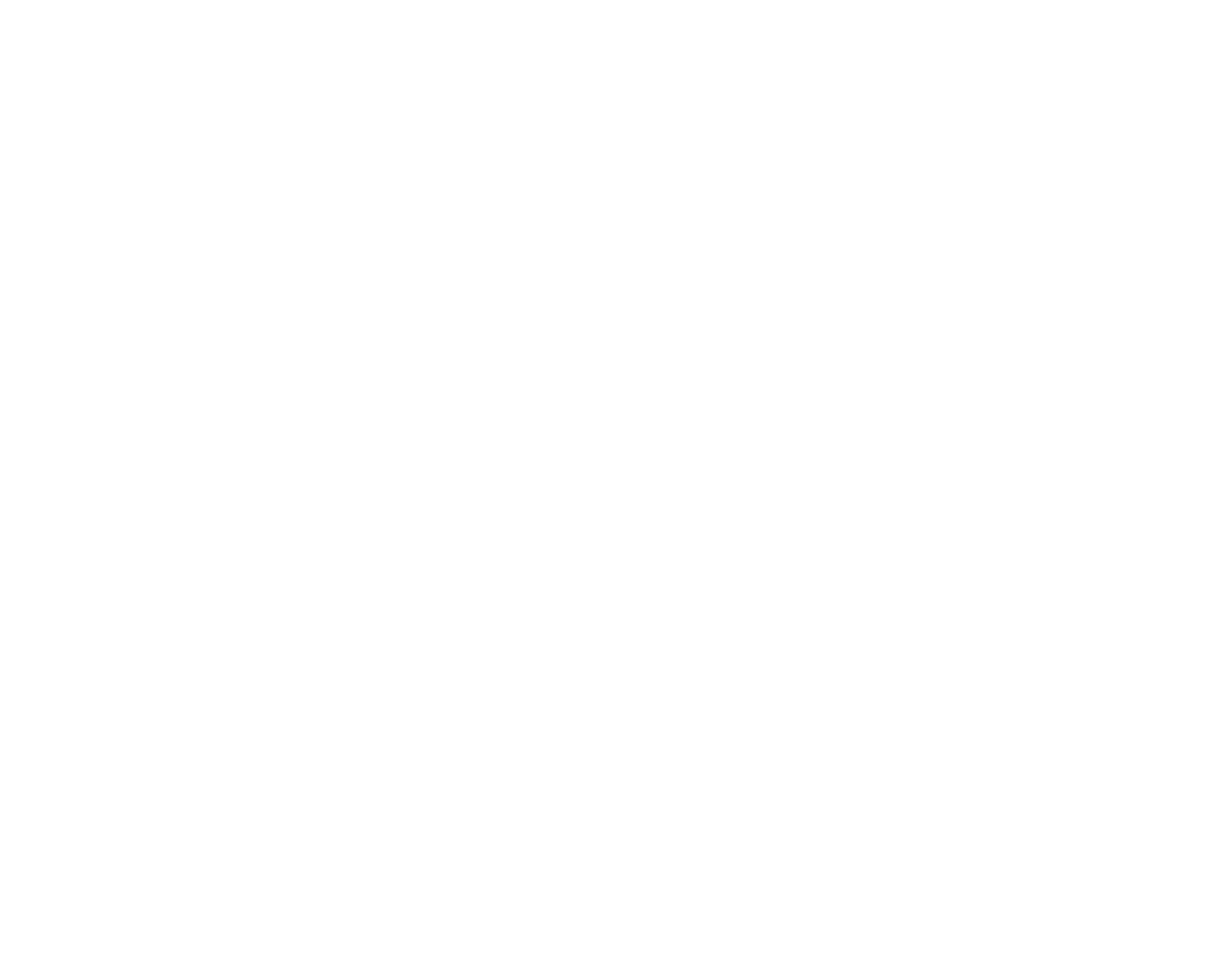 1ANV